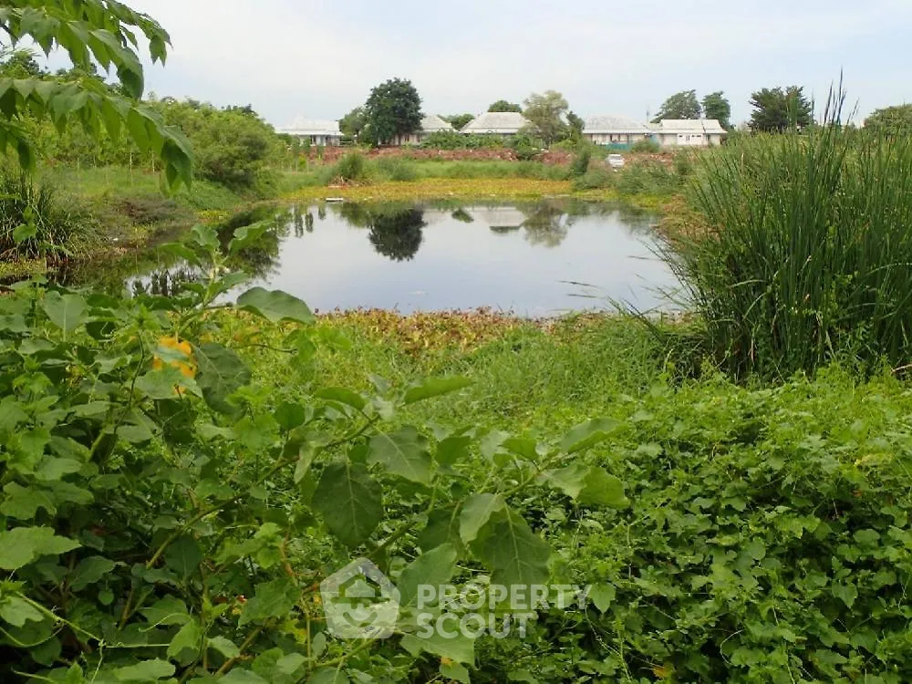 Scenic view of lush garden with pond and distant houses, perfect for nature lovers.