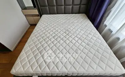 image_rental-30384175