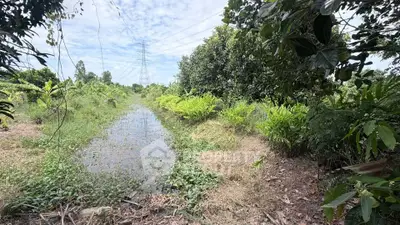 Lush green land with water channel, perfect for agricultural development or serene retreat.