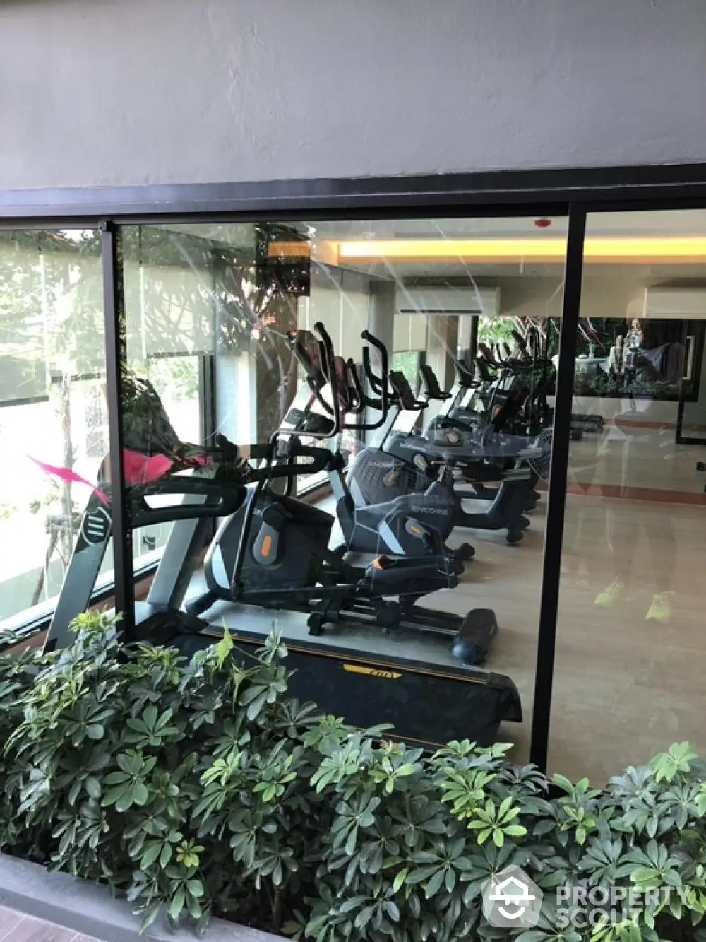 Modern gym with cardio equipment and lush greenery view