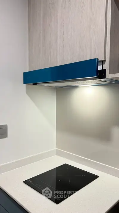 Modern kitchen with sleek induction cooktop and stylish blue range hood