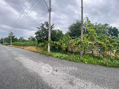 Scenic roadside plot with lush greenery and potential for development.
