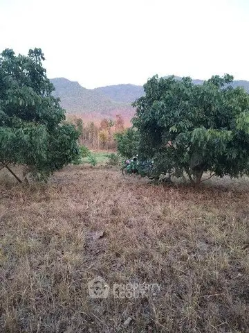 Scenic view of rural land with trees and mountains, ideal for agricultural development.