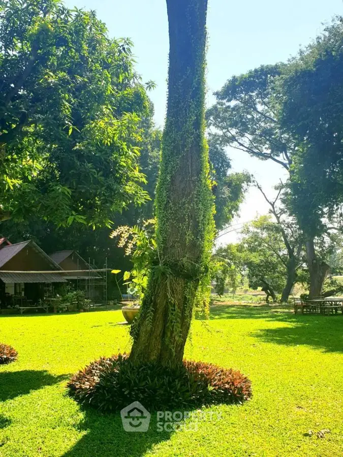 Lush garden with mature trees and vibrant greenery, perfect for outdoor relaxation.