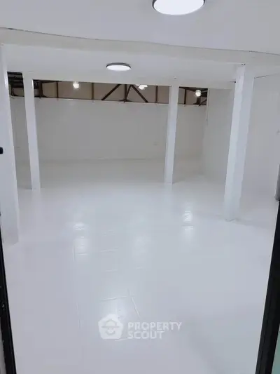 Spacious white basement with modern lighting, ideal for storage or creative use.