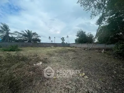 Spacious vacant land with potential for development, surrounded by lush greenery and a sturdy boundary wall.