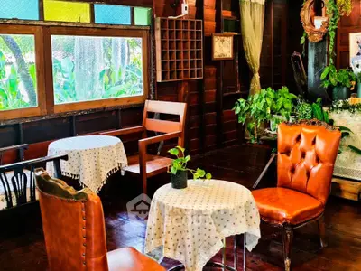 Charming vintage-style living room with leather chairs and lush greenery, perfect for cozy gatherings.