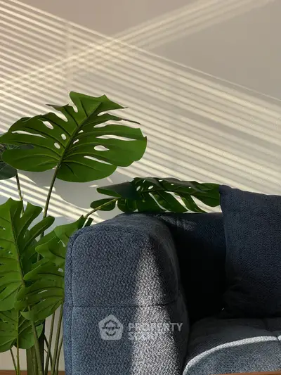Stylish modern living room corner with lush green plant and cozy sofa, perfect for relaxation.