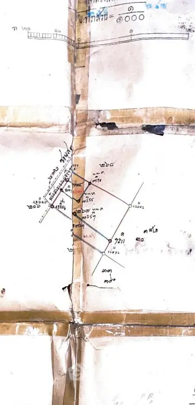 image_rental-31416802