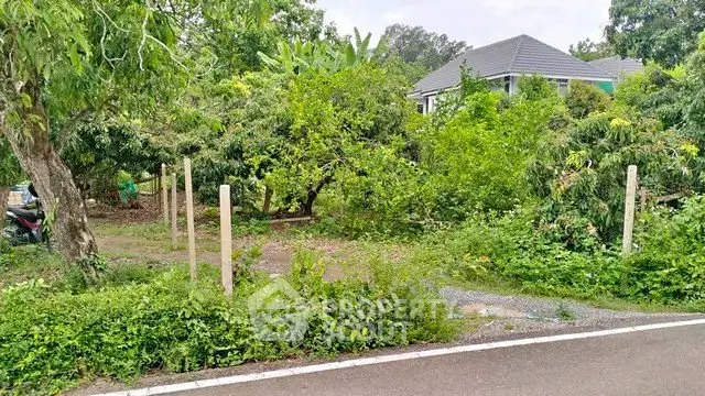 Charming suburban house surrounded by lush greenery and trees, offering a serene and private setting.