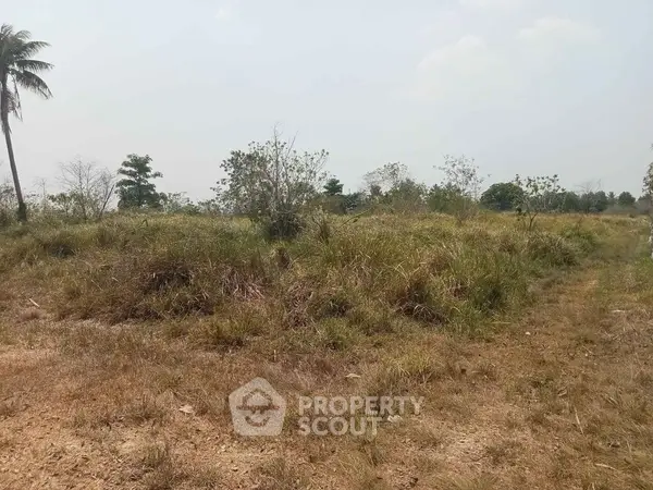 image_rental-17144662