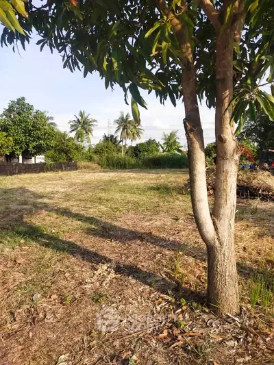 Spacious land plot with lush greenery and mature trees, perfect for development or agriculture.