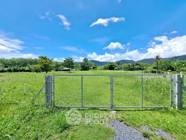 image_rental-29525548