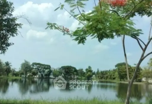 image_rental-19970205