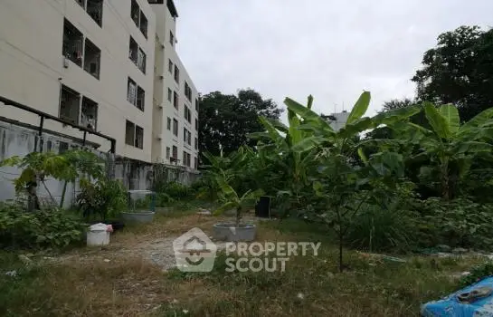 image_rental-19545161