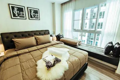 image_rental-31443699