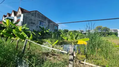 Spacious land plot with lush greenery and potential for development in a serene neighborhood.