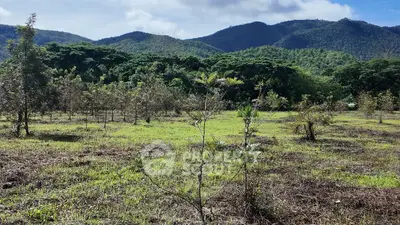 image_rental-27769817