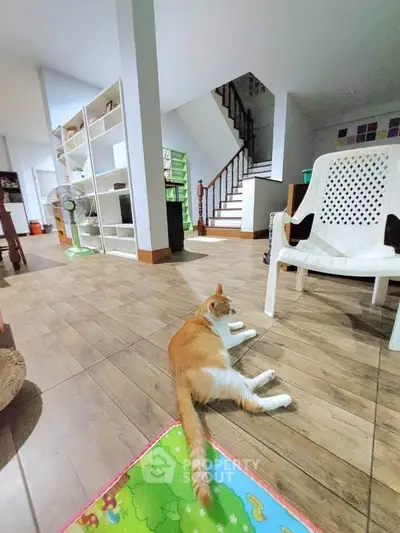 Spacious living room with wooden flooring and cozy seating area, featuring a playful cat.