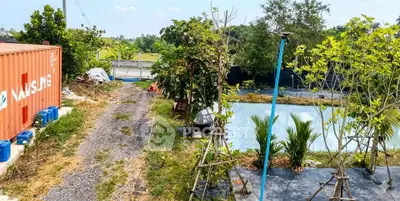 Spacious outdoor area with a pond and greenery, ideal for serene living or development.