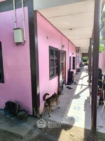 Charming pink exterior of a residential building with a long corridor and natural light.