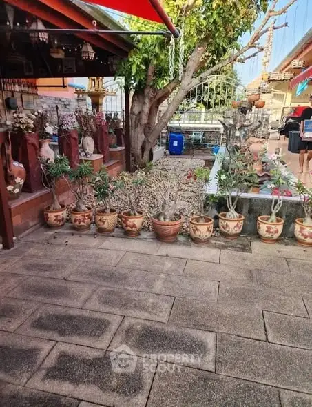 Charming garden area with potted plants and decorative elements, perfect for relaxation.