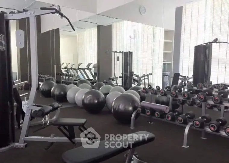 Modern gym with state-of-the-art equipment and mirrors for a perfect workout experience.