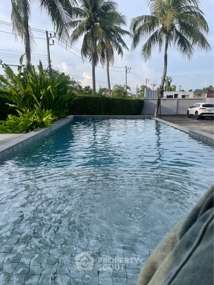 Luxurious outdoor pool with palm trees and serene surroundings for ultimate relaxation.