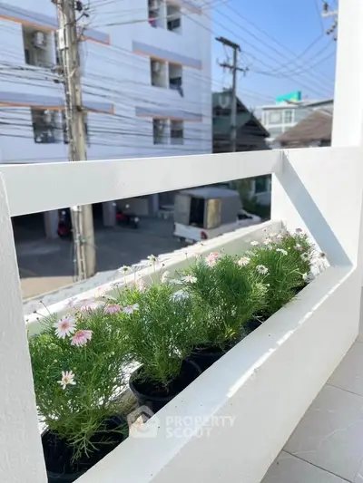 Charming balcony with potted flowers overlooking urban street view.