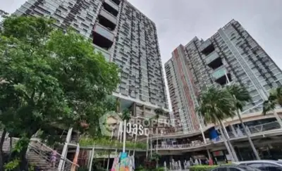 image_rental-30167773