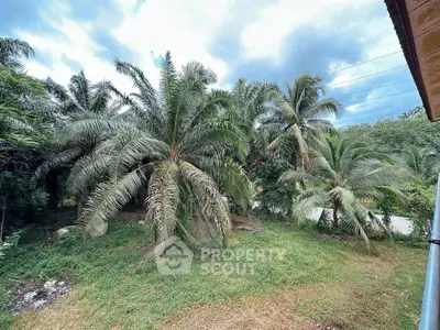 Lush tropical garden view with palm trees, perfect for serene outdoor living.