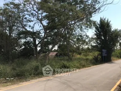 Scenic roadside plot with lush greenery and mature trees, ideal for development or investment opportunities.