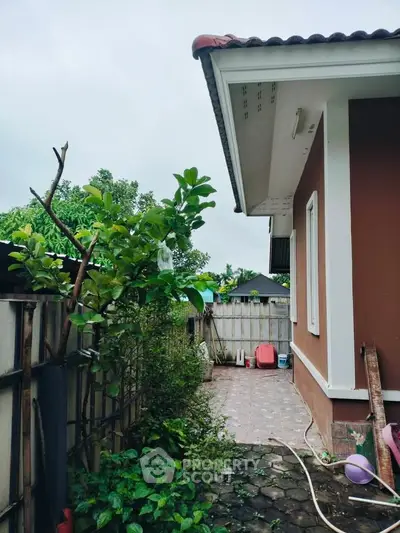 Charming side yard of a suburban home with lush greenery and paved walkway.