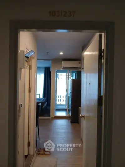 Modern apartment entrance with view into living area and balcony