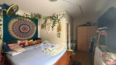 Cozy bedroom with bohemian decor and lush greenery, featuring a comfortable bed and ample storage space.