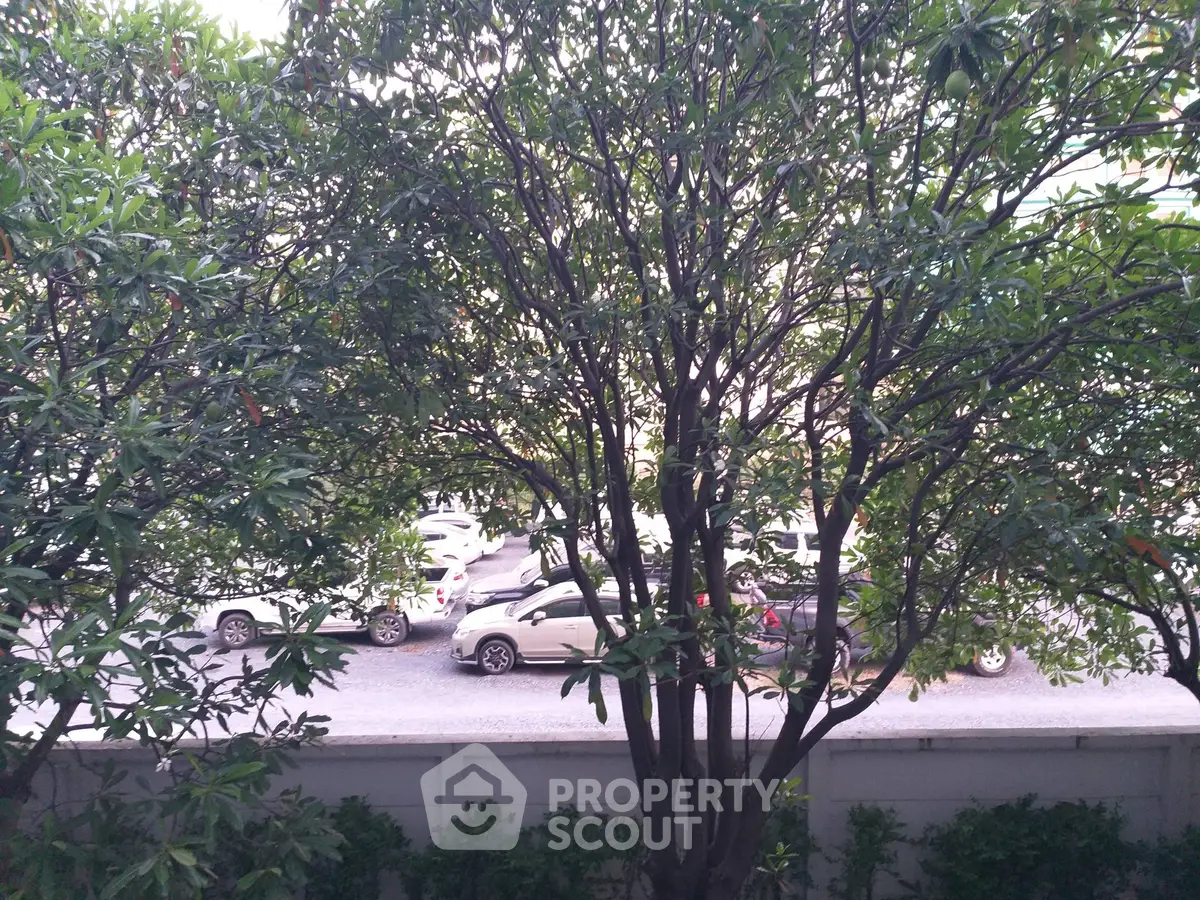 Serene garden view with lush greenery and street scene, perfect for urban nature lovers.