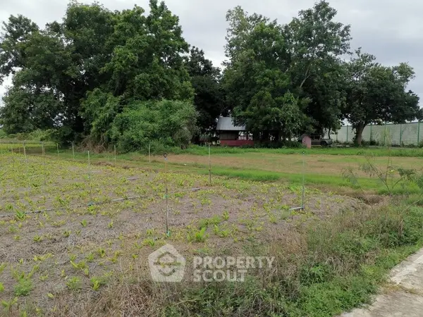 image_rental-16836465