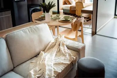 Modern open-plan living room with cozy sofa and dining area in stylish apartment.