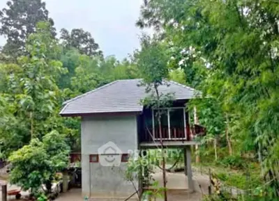 image_rental-31462569