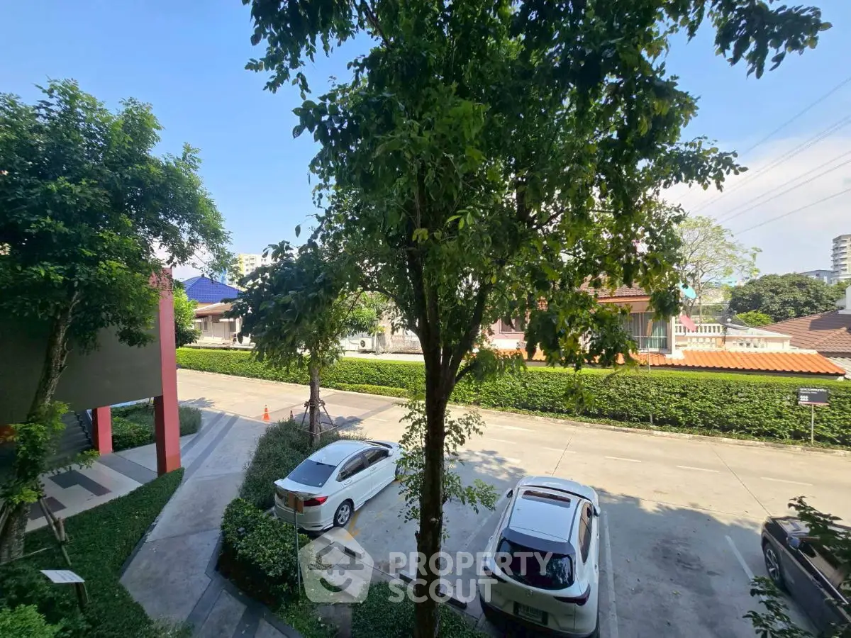 Charming residential street view with lush greenery and parked cars.