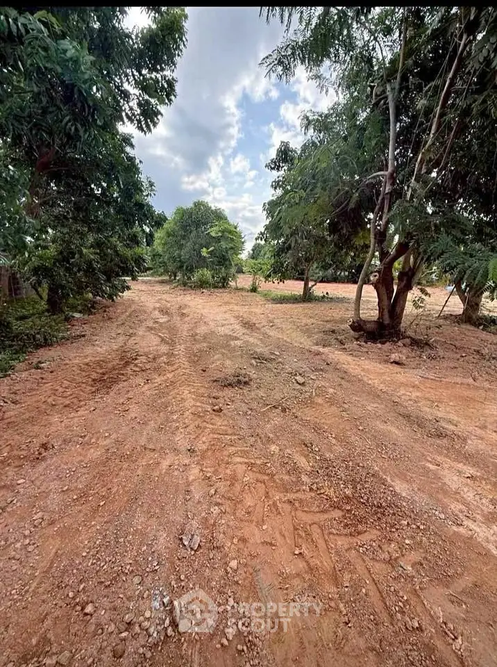 Expansive plot of land with lush greenery, perfect for development or investment opportunities.