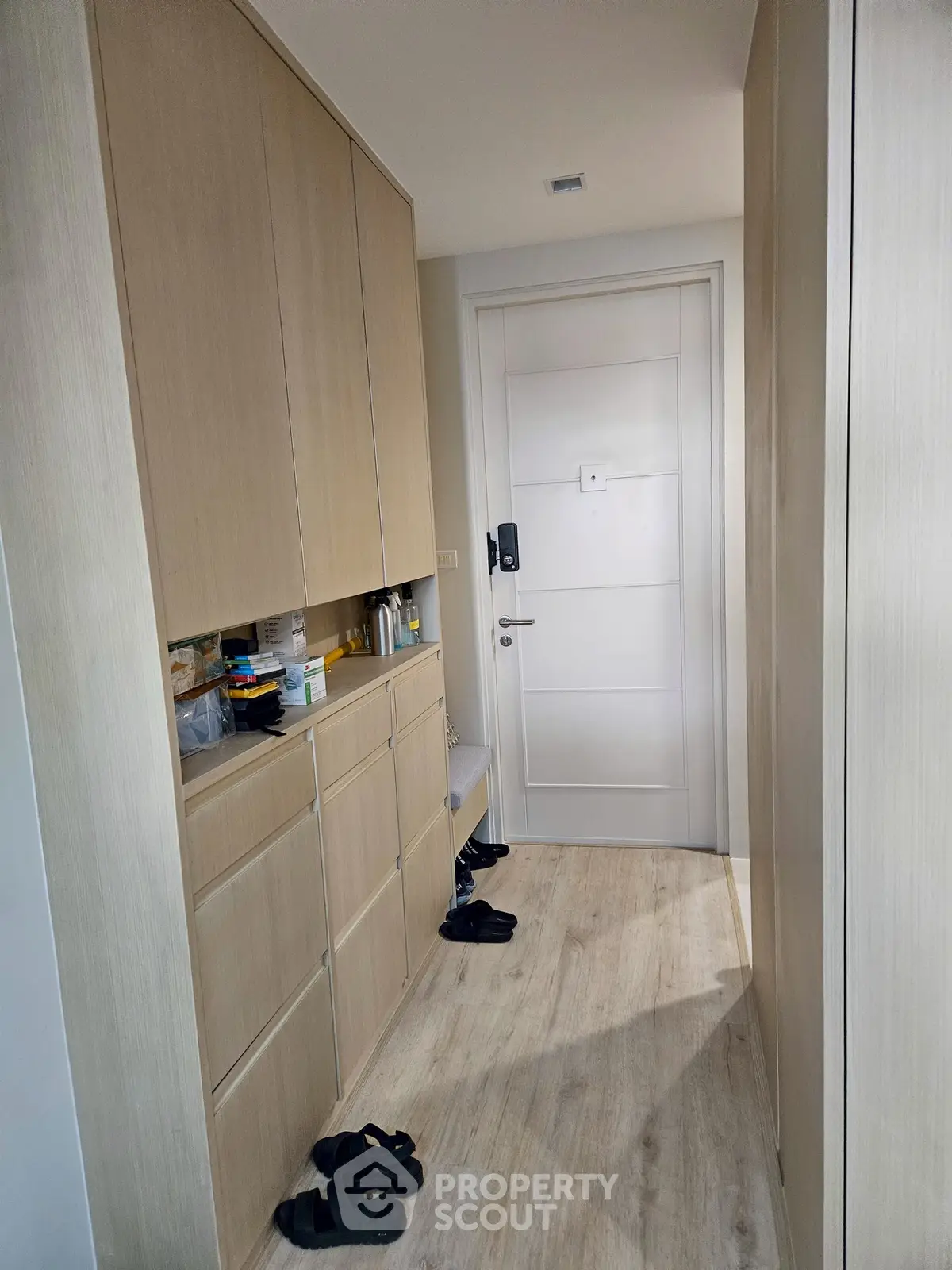 Modern hallway with built-in storage and sleek wooden flooring