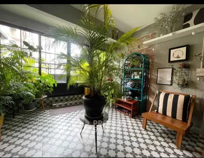 Charming living room with lush indoor plants and stylish decor, featuring patterned tile flooring and ample natural light.