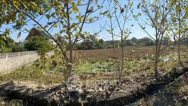 Expansive agricultural land with scenic views, perfect for development or farming opportunities.