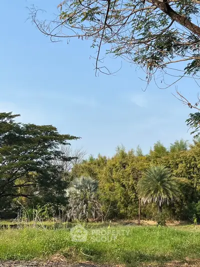 Lush green garden with diverse trees under a clear blue sky, perfect for nature lovers.