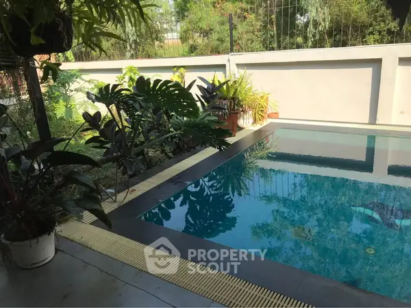 image_rental-29510061