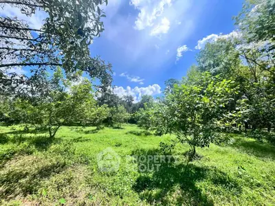 Lush green garden with vibrant trees under a clear blue sky, perfect for serene outdoor living.
