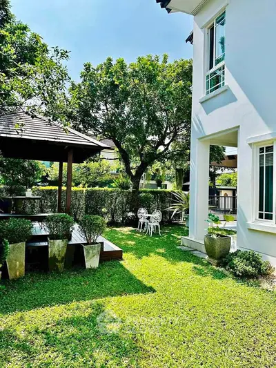 image_rental-31448144