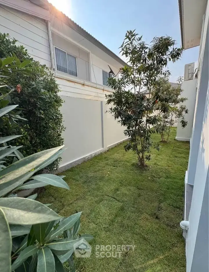Charming garden space with lush greenery and privacy fencing in a modern residential area.
