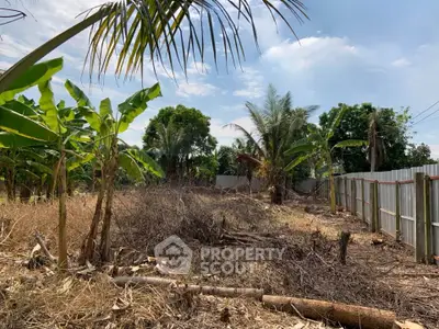Vacant land with tropical vegetation, ideal for development or agriculture.